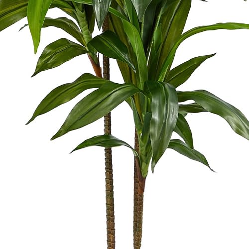 Nearly Natural 6585 Dracaena Decorative Silk Plant, 48-Inch, Green | Troncos multitonales, gran planta de seda para interiores, sin mantenimiento, sala de estar y decoración de oficina en casa
