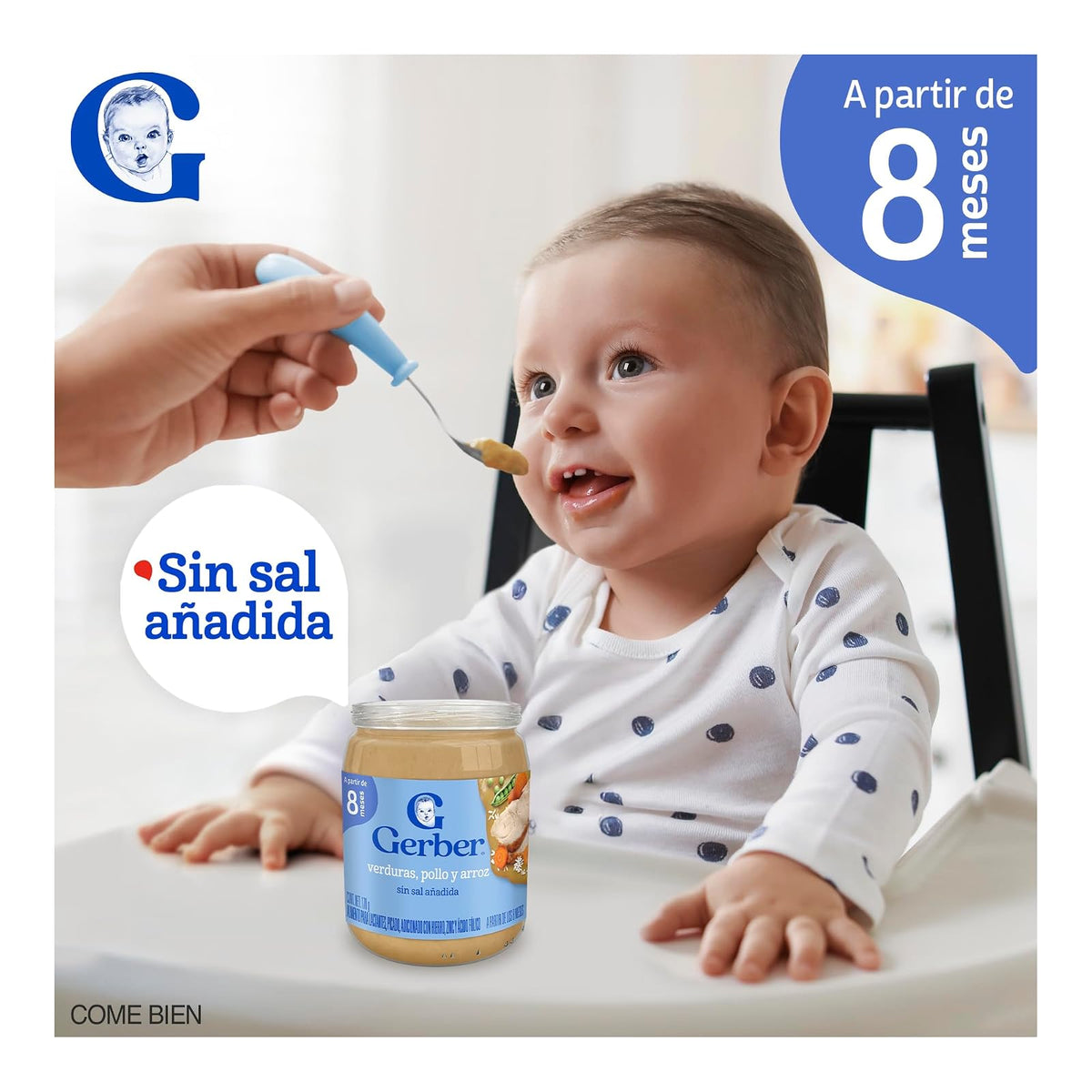 Gerber Papilla Comidita Casera Etapa 3 Pollo, Verduras y Arroz 170g Paquete 12