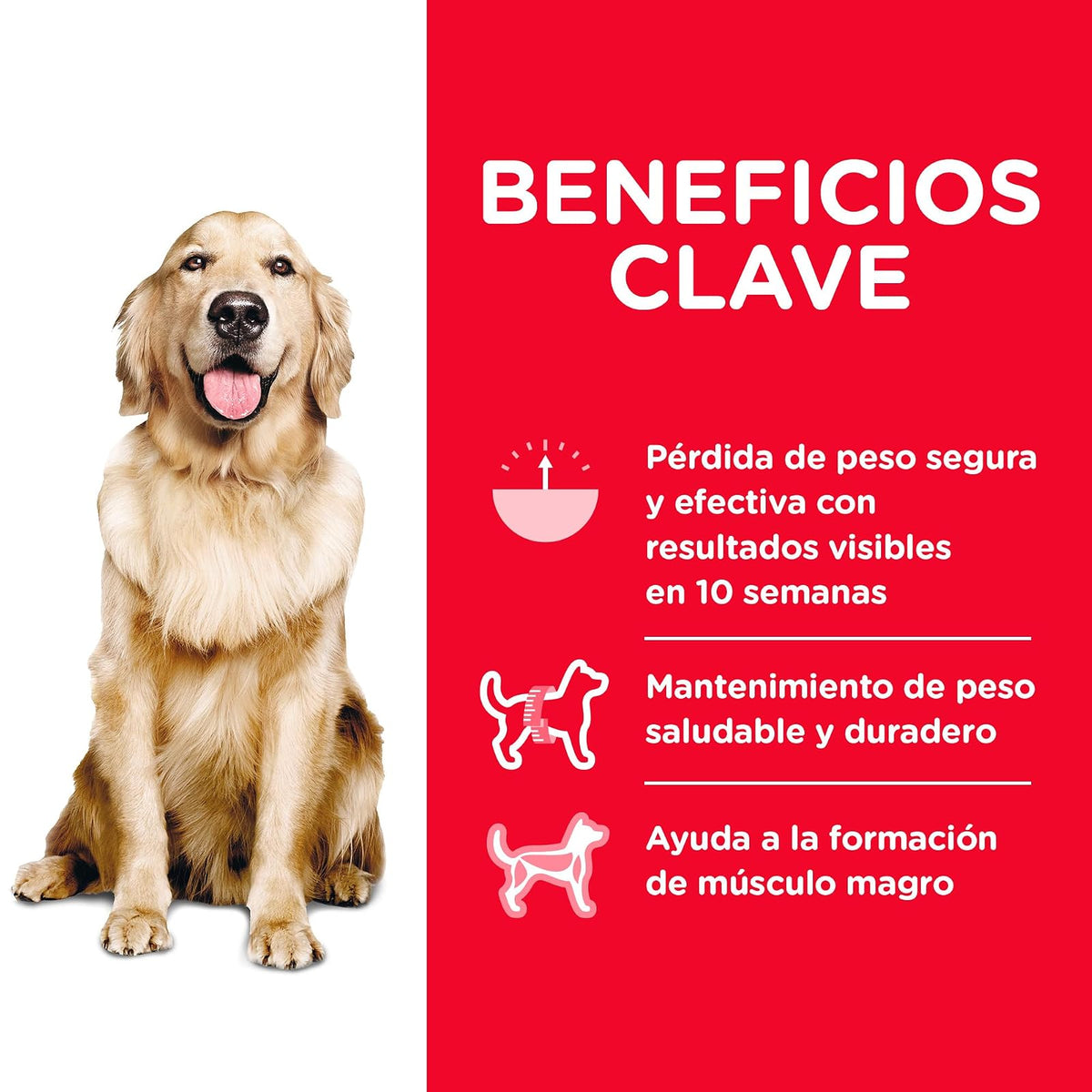 Hill's Science Diet Perfect Weight Croquetas para Perro Adulto Pollo 11.3Kg | Croquetas Hill's para perro, pollo real, control de peso, músculos magros, fibras naturales de saciedad