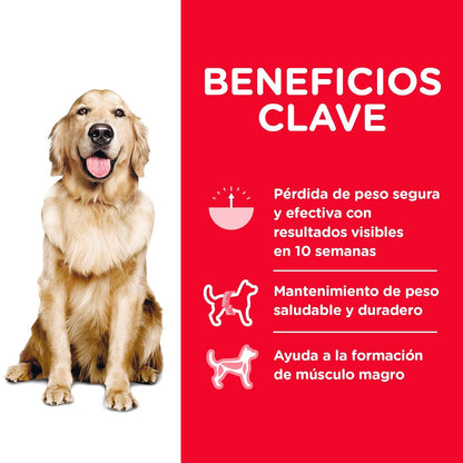 Hill's Science Diet Perfect Weight Croquetas para Perro Adulto Pollo 11.3Kg | Croquetas Hill's para perro, pollo real, control de peso, músculos magros, fibras naturales de saciedad