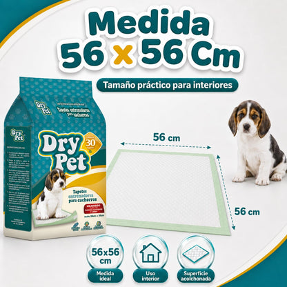 Dry Pet Tapete Entrenador para Perro de 30 Piezas