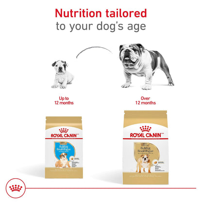 Royal Canin Croquetas para Bulldog, 2.72 kg (El empaque puede variar)