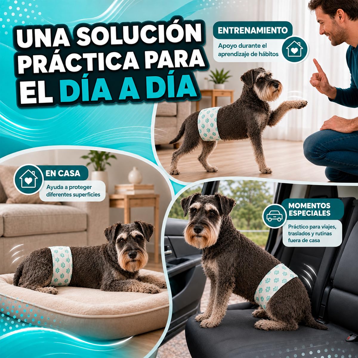 Fancy Pets Pañal para Perro Macho Tamaño Grande con 12 Piezas