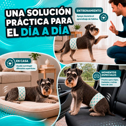 Fancy Pets Pañal para Perro Macho Tamaño Grande con 12 Piezas