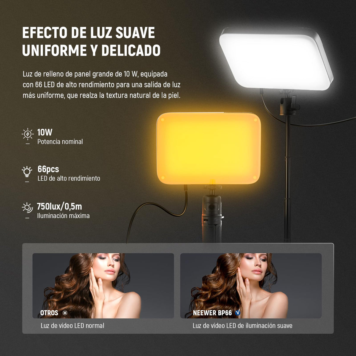 NEEWER Basics 2Pack Panel Video LED Escritorio, Kit Videoconferencias Foco Luz con Trípode y Filtros para Móvil Cámara Web Portátil Zoom Llamadas Maquillaje Grabación Selfies, Bicolor Regulable, BP66