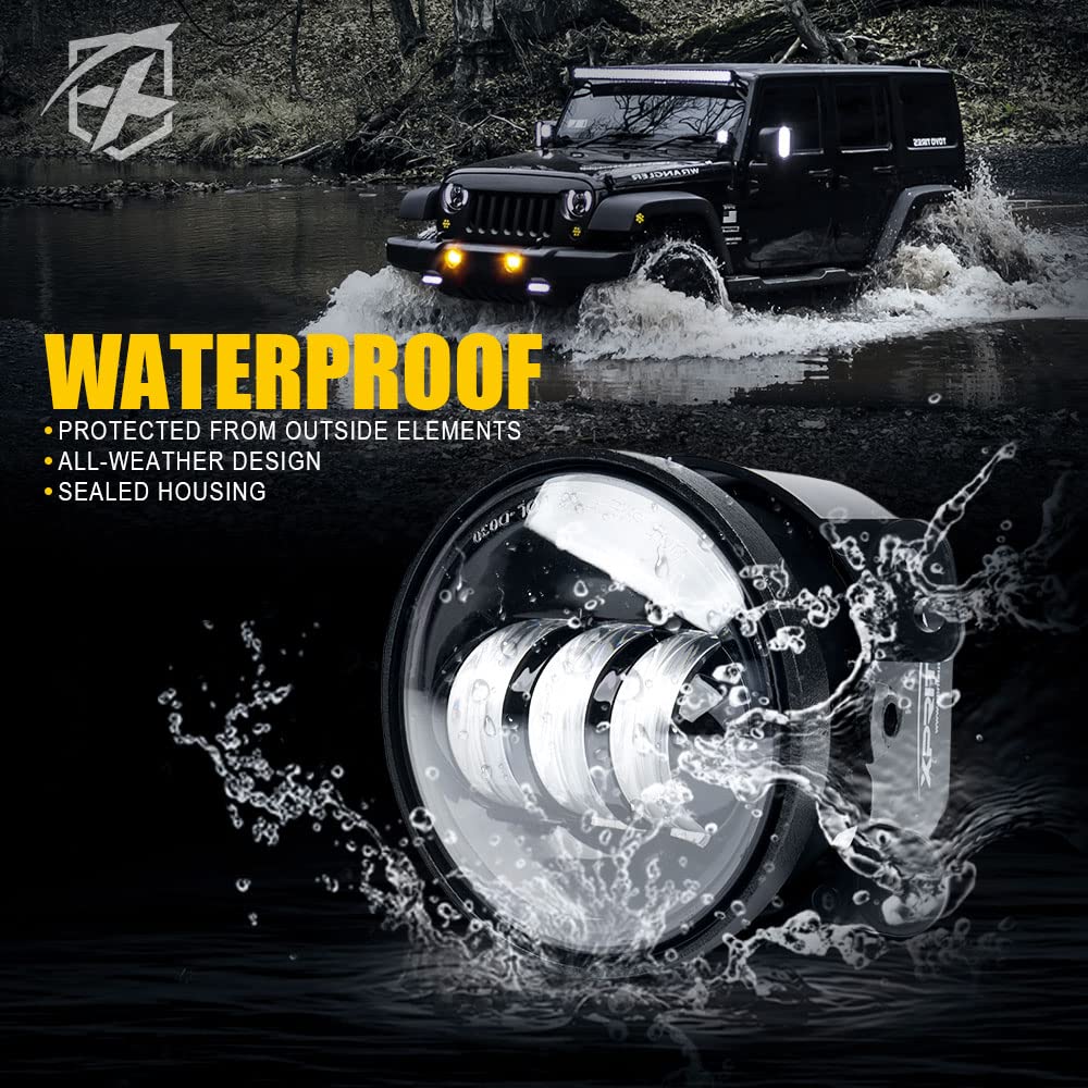 fl-r4in-60 W-1variation, Fog Light - Amber
