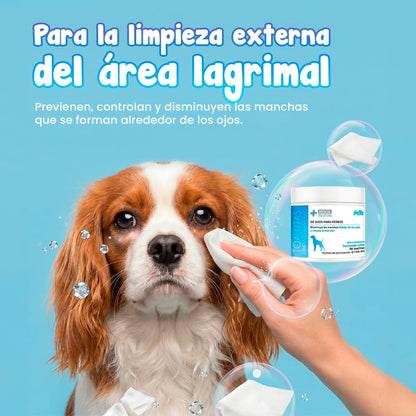 Fancy Pets MS Kit de Limpieza Básica para Perros con Limpiador de Oídos 125 ml, Toallitas para Ojos 80 pzas, Toallitas Húmedas 40 pzas, Removedor de Pelo y Shampoo Nutritivo 250 ml