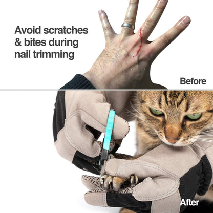 PetFusion Unisex Multi-purpose Pet Glove grooming glove (pack of 1)
