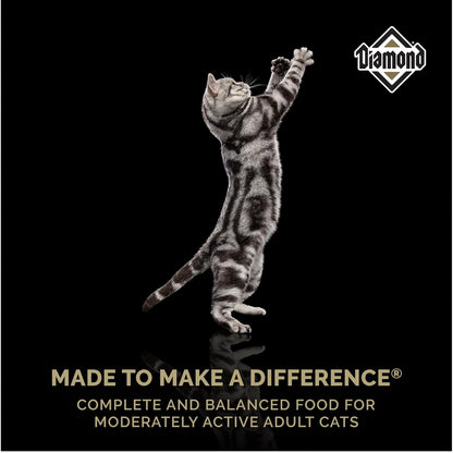 Diamond Pet Foods - Alimento seco para gatos adultos con sabor a pollo de Maintenance Formula, bolsa de 40 libras