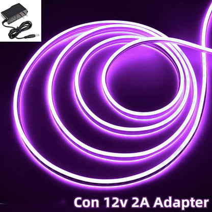 DOSYU Tira Neón Flex LED, 12V 16.4ft/5m Impermeable Flexible Cortable DIY 2835 Luces Led IP65 Decorativa para TV, Cuarto, Halloween, Fiesta de Navidad, con Adaptador(Violeta)
