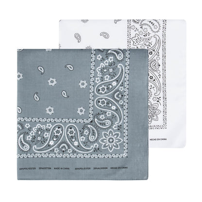 Levi's - Pack 2 - Blanco - Gris