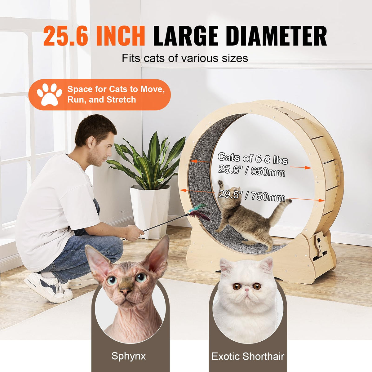 VEVOR Rueda de Ejercicio de Madera para Gatos de Interior de 75 x 31,8 x 80 cm, Rueda para Correr con Alfombra Desmontable, Juguete para Correr, Caminar, Entrenar para Diferentes Gatos, Color Madera