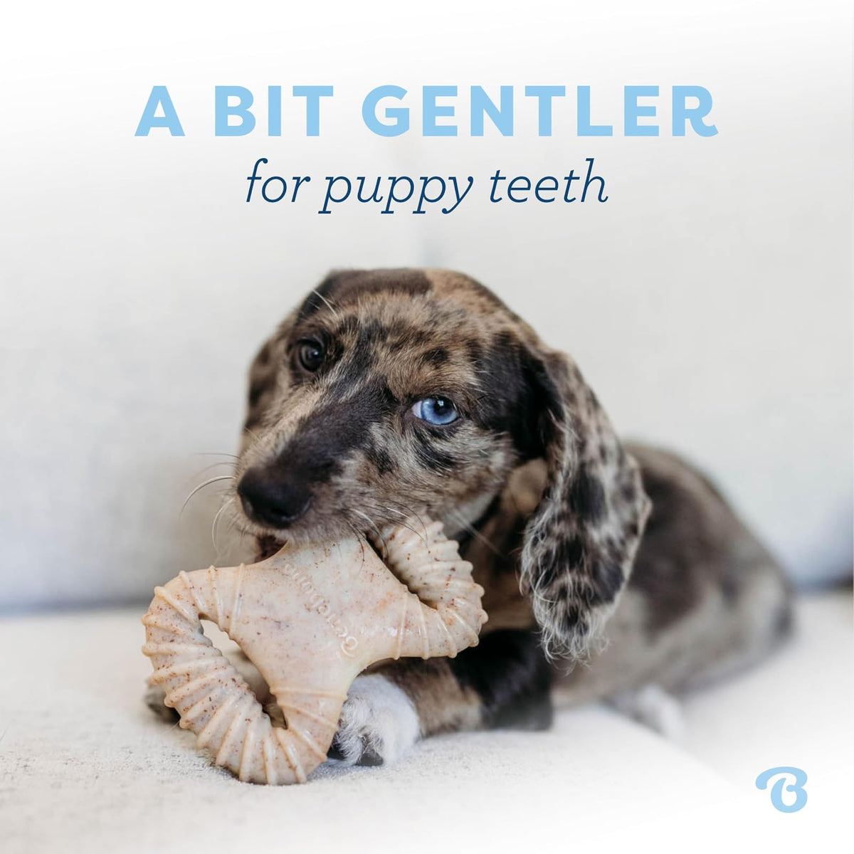 Benebone Puppy - Paquete de 2 masticables dentales para Pollo/espoleta