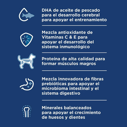 Hill's Science Diet Small Bites Croquetas para Cachorro Sabor Pollo 5.7Kg | Croquetas Hill's para perro, pollo real, razas pequeñas, crecimiento sano, desarrollo cerebral con DHA, soporte inmunológico