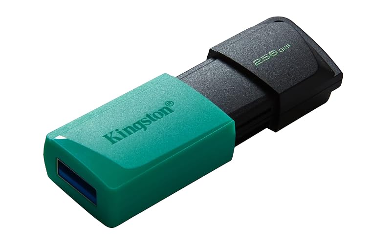 Kingston USB Data Traveler Exodia M, Capacidad: 256GB, USB 3.2 Gen 1 (DTXM/256GB)