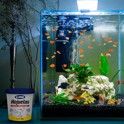 Tetra Lomas Hojuelas Premium Alimento para Peces con 100 Gramos