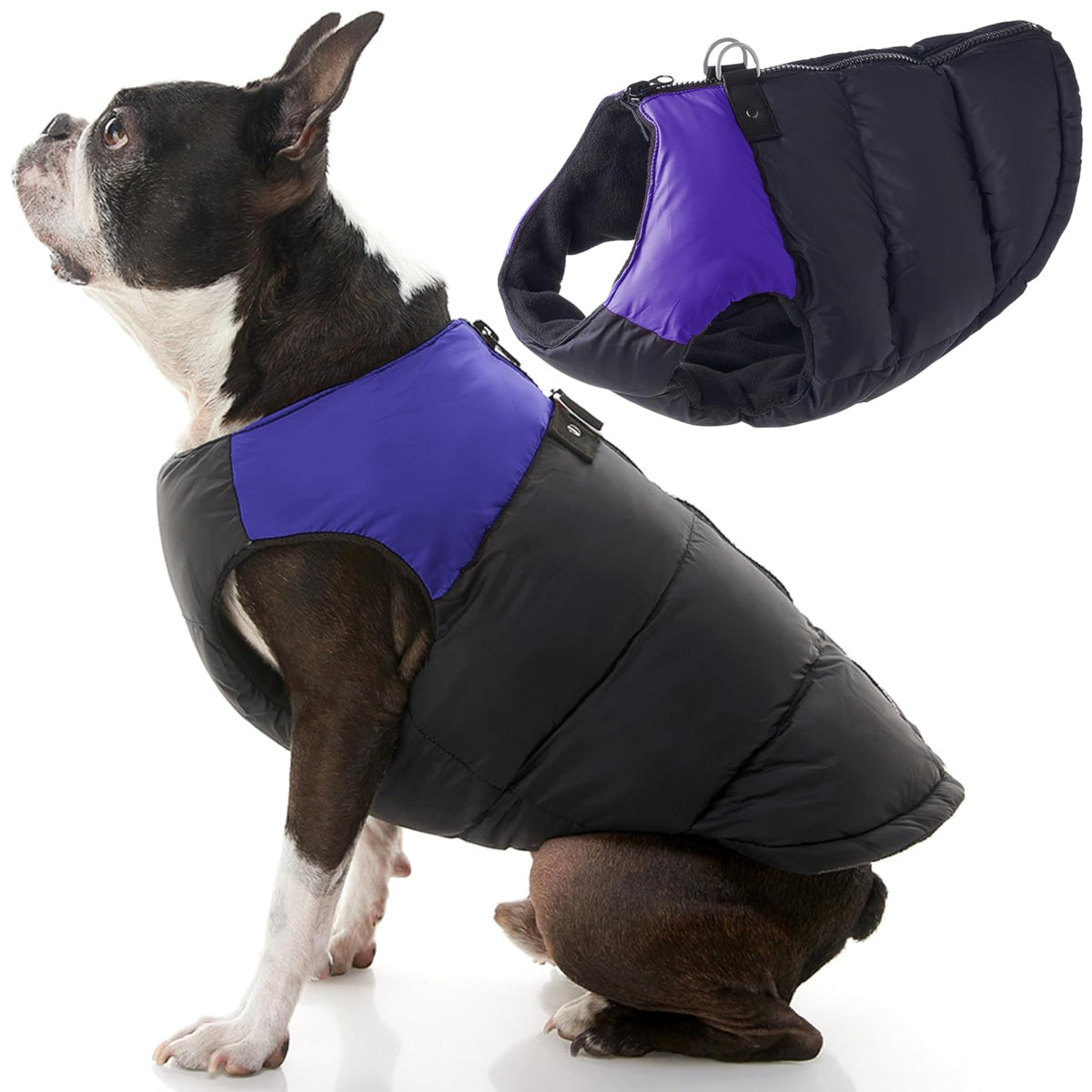 Gooby - Chaleco Acolchado, Chamarra para Perro, suéter con Cierre de zíper y Anillo de Correa, Púrpura, Medium Chest (~18.5")