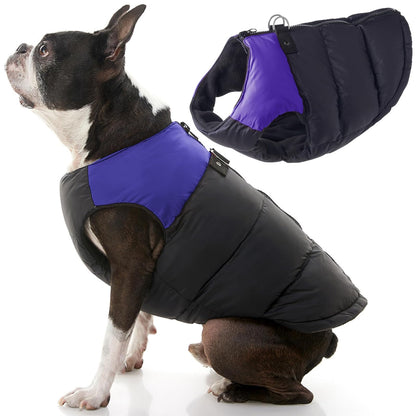 Gooby - Chaleco Acolchado, Chamarra para Perro, suéter con Cierre de zíper y Anillo de Correa, Púrpura, Medium Chest (~18.5")
