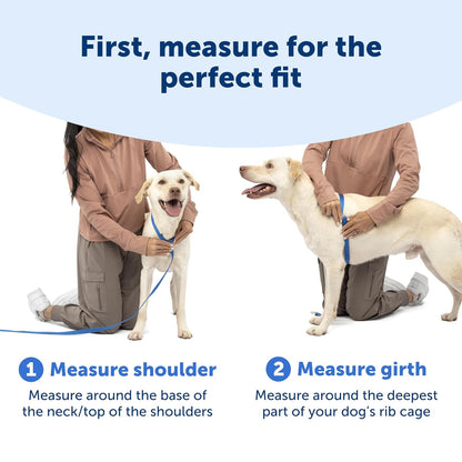 PetSafe Easy Walk - Arnés para Perro cómodo sin tirones, Acolchado de Cuerpo Completo, Mejores Paseos en el Primer Uso, 5 Puntos de Ajuste Mediano/Grande, Rosa