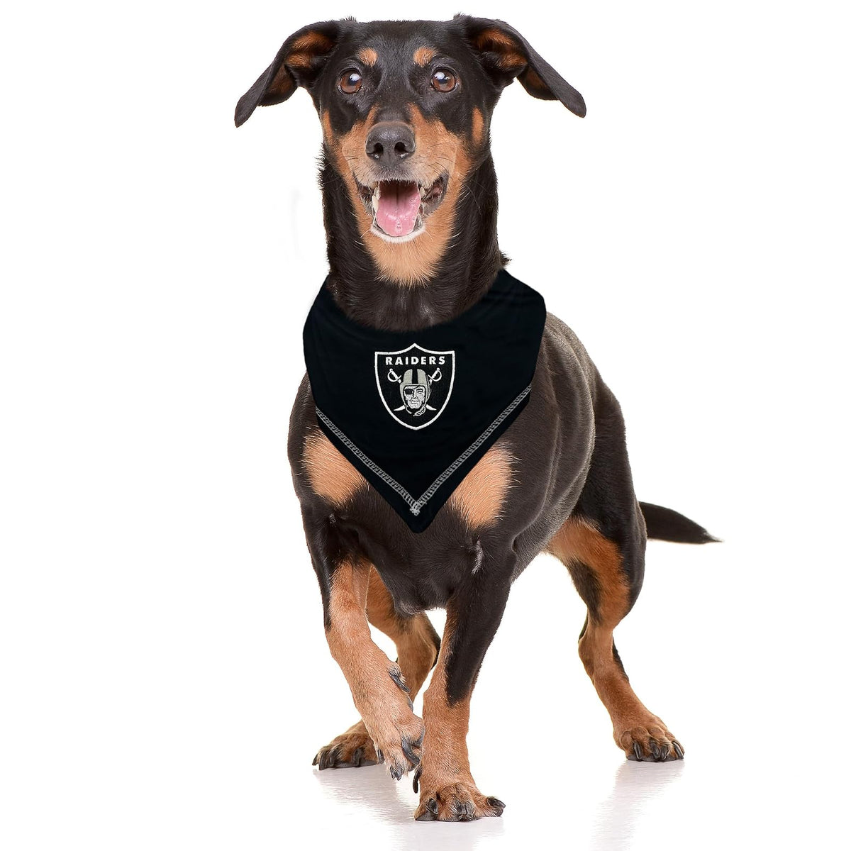 Pets First NFL Las Vegas Raiders Corbata Bandana, pequeña/Mediana Babero Bandana para Perro para Mascota y Gato The Ultimate Game-Day Bandana de Fiesta