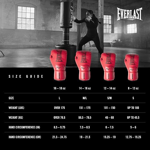 Everlast Boxing Gloves