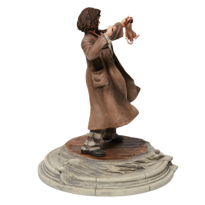 Enesco Wizarding World of Harry Potter Sirius - Figura de Cola de Gusano Negra, 8.75 Pulgadas, Multicolor