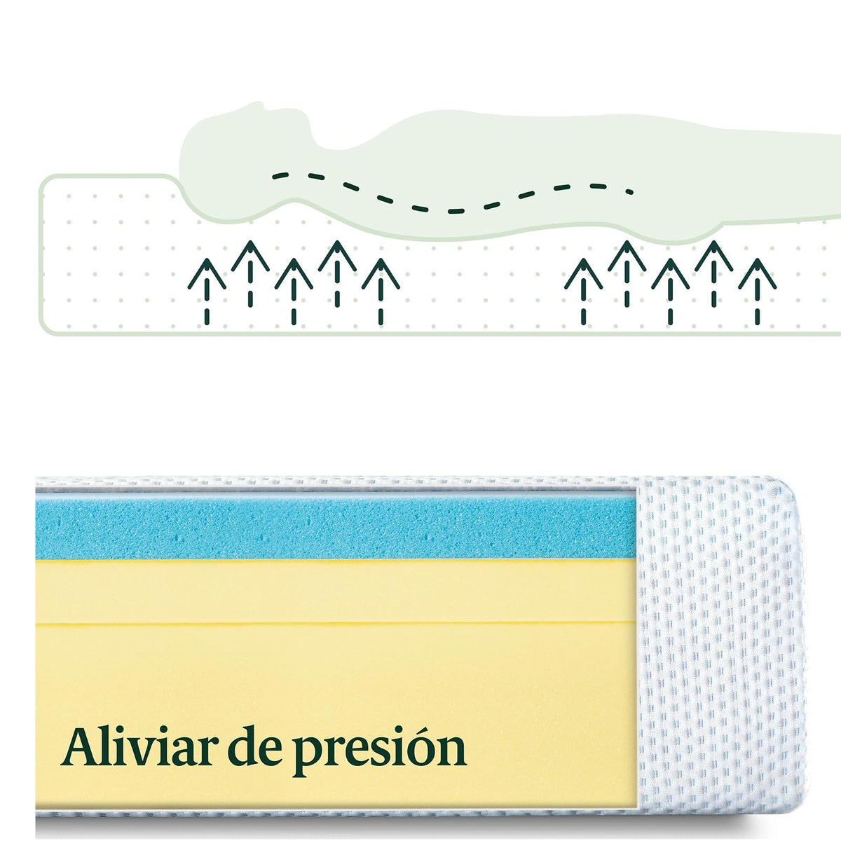 Zinus 15 cm de té Verde impregnado Colchón de Espuma viscoelástica con Gel refrescante/Colchón Adaptable de 7 Zonas/Espuma con certificación CertiPUR-US/Colchón en Caja/Colchón MX Queen