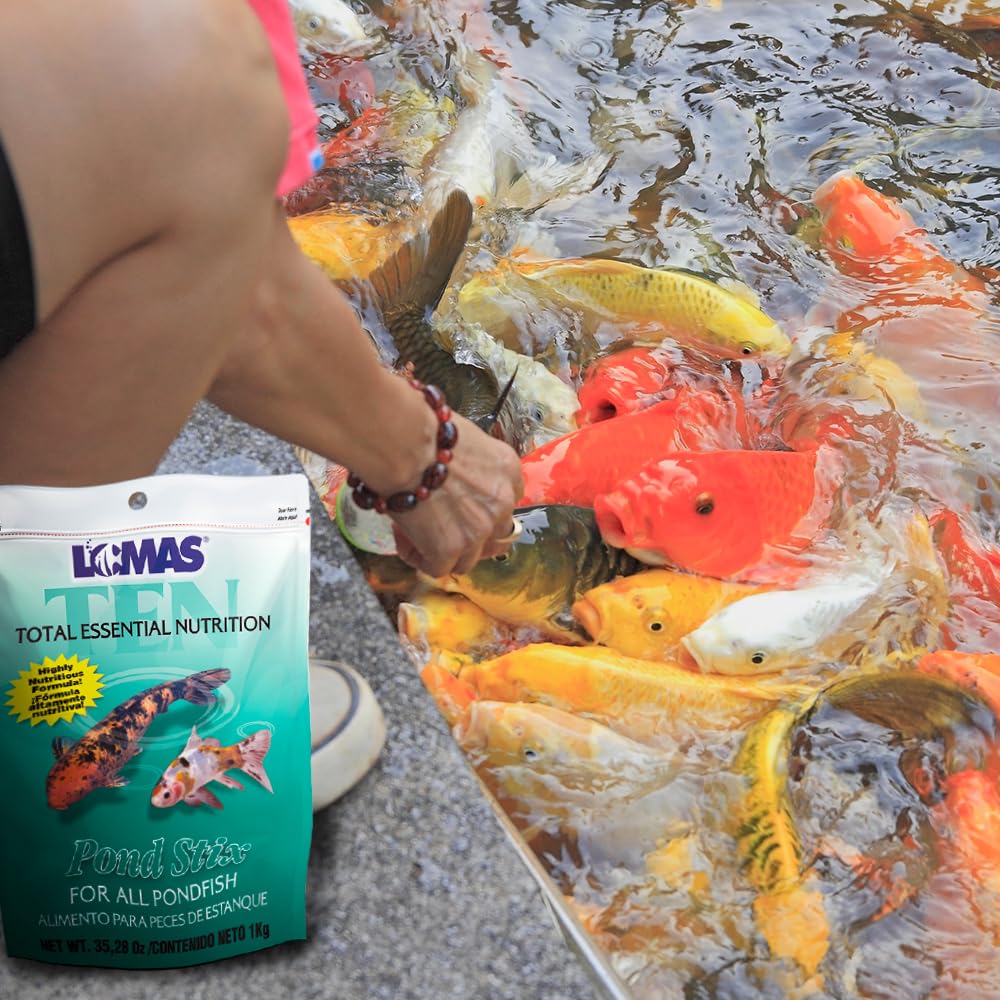 Lomas ALIMENTO Pond STIX 1 KG