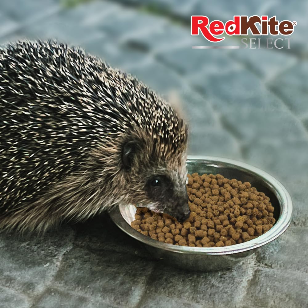 RedKite Select Alimento para Erizos 800 g con Insectos Deshidratados y Vitaminas