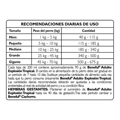 Beneful Purina Adulto Energia Tropical Sabor Carne y Pavo 10Kg