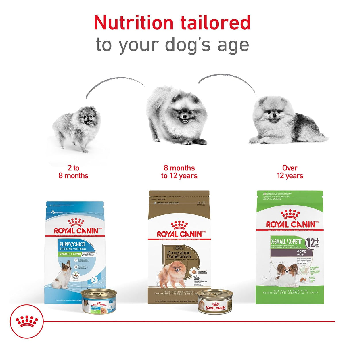 ROYAL CANIN Alimento Seco para Perro Adulto Raza Pomeranian, 4.5 kg