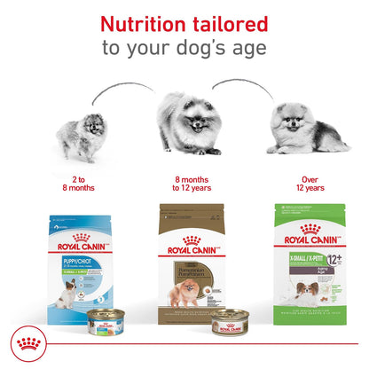 ROYAL CANIN, Adult - Pomeranian, Croquetas para Perro, 1.1kg