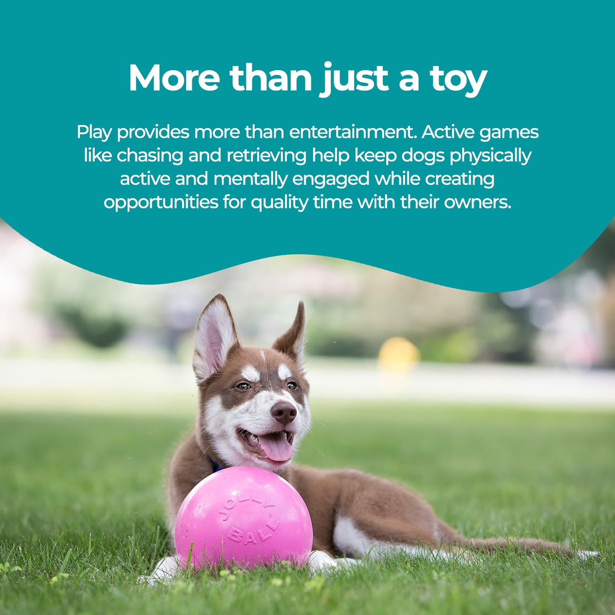 Jolly Pets Bounce-n-Play - Pelota de Juguete para Perro, 6 Pulgadas, Rosa, 6 Pulgadas/Mediano (2506 Unidades)