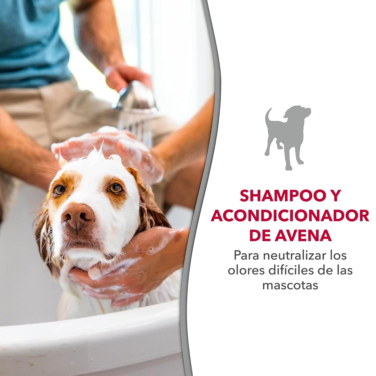 Nature's Miracle Natureâ€™s Miracle Oatmeal Shampoo & Conditioner for Dogs, 32 Oz, Pistachio Cream Scent