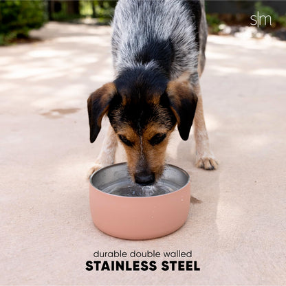 Simple Modern Acero Inoxidable El Tazón de Agua para Mascotas | Acero Inoxidable Aislado y Reutilizable Tazones de Comida para Perro Gato | Bentley Colección| Medio | Sea Glass Sage