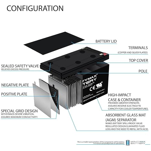 Mighty MAX Battery ML12-12F2-12 V 12 AH, Terminal F2, batería Recargable SLA AGM, Producto de Marca Original Mighty MAX®