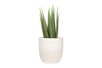 Creative Co-op - Botella de Vidrio, Color Verde, Blanco, 12 Inch Round, 1