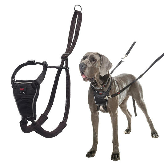 Company of Animals Arnés Anti tirones HALTI - para Evitar Que tu Perro Tire de la Correa, Ajustable, Ligero y Fácil de Usar. Reflexiva Adiestramiento canino Arnés para Perros Grandes (Talla L)