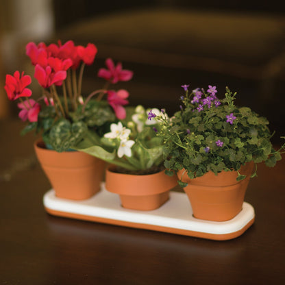 Infusion Living - Macetas Convertibles con Ventana para Cultivar Semillas de Hierbas, Silicona, Color Terra Cotta, Juego de 3 macetas con Base empotrada