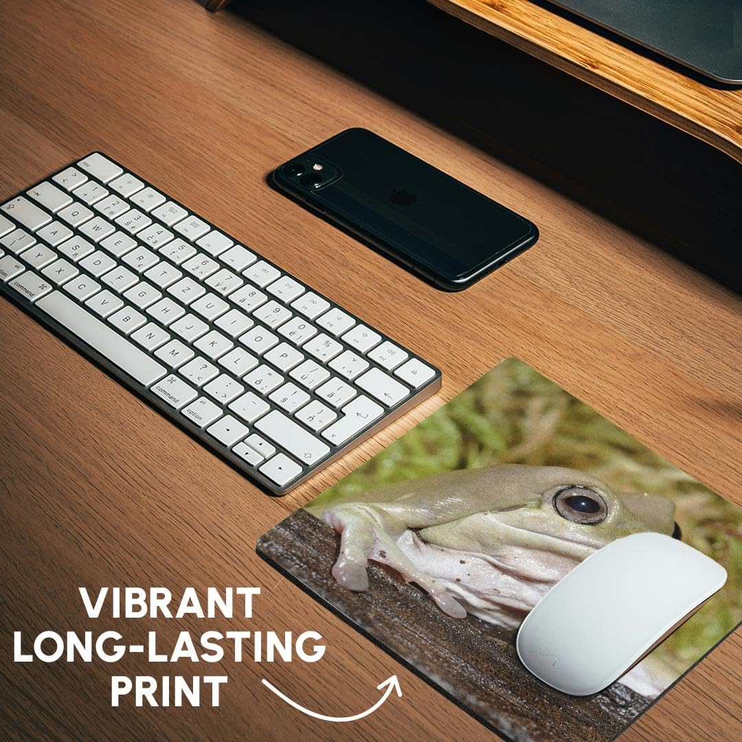 3dRose 8 x 8 x 0.25 Whites Dumpy Frog Litoria Caerulea Adam Jones Mouse Pad (mp_83643_1)