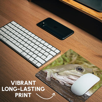 3dRose 8 x 8 x 0.25 Whites Dumpy Frog Litoria Caerulea Adam Jones Mouse Pad (mp_83643_1)