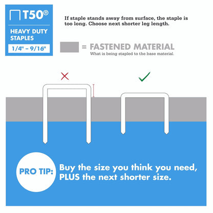 Arrow Fastener 504IP - Grapas T50 resistentes para tapicería, construcción, muebles, manualidades, tamaño de corona de 3/8 pulgadas, longitud de pierna de 1/4 pulgadas, paquete de 5000