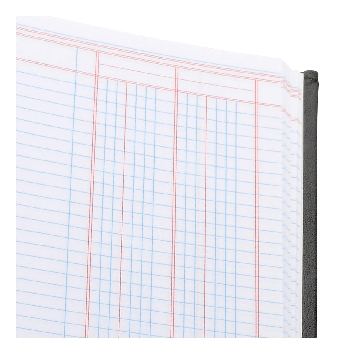 Wilson Jones Hardbound Accounting Journal, 9.25 x 7 Inches, 2 Columns, 80 Pages, 30 Lines per Page, Black (W74102A)