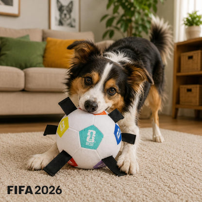 Juguete para Perro FIFA Active Soft Ball – Resistente, Interactivo, Ideal para Morder y Juego Activo
