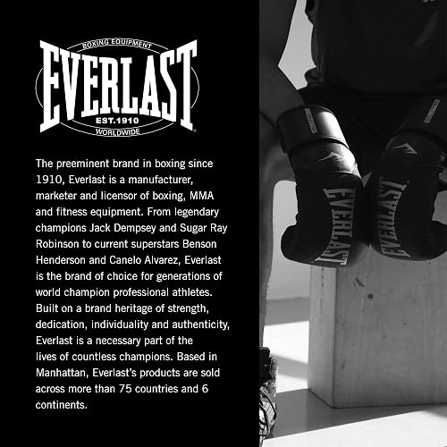 Everlast Boxing Gloves