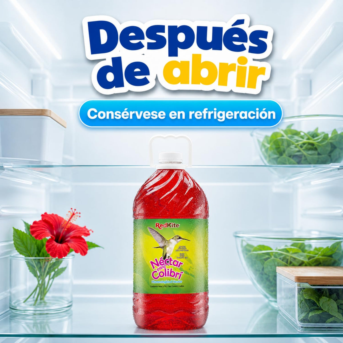 Redkite Néctar Líquido para Colibríes 3.8 L — Néctar Listo para Usar con Energía para Aves