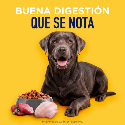 CAMPI, Croquetas para Perro Adulto CanPro MAX, 15% de Proteína, Sabor a Res y Pollo, Alimento con Vitaminas y Minerales, Costal de 20 kg