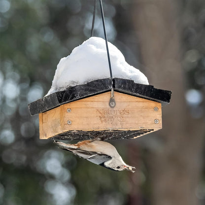 Nature's Way Bird Products CWF2 Cedar Suet Upside-Down - Alimentador para pájaros