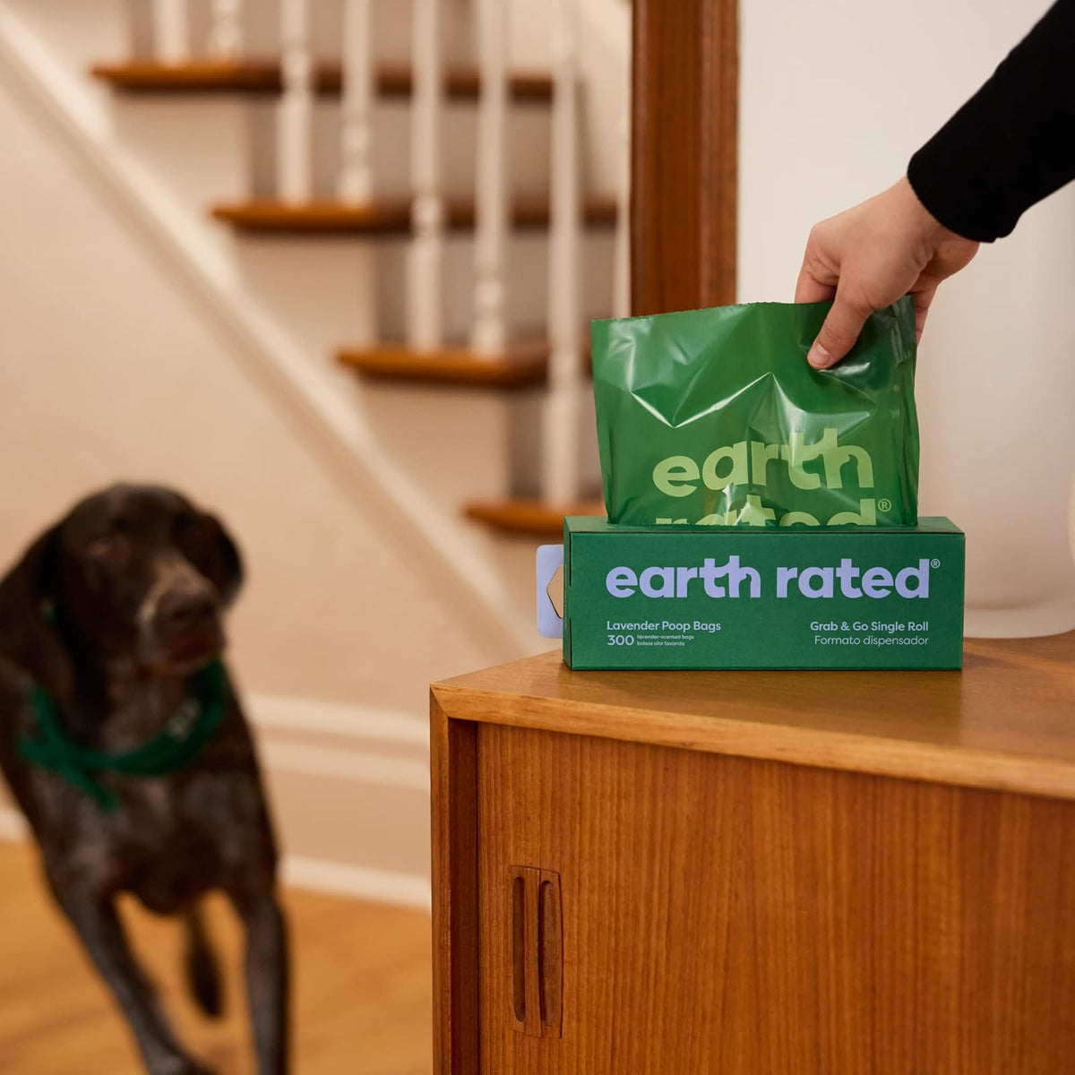 Earth Rated - Bolsas para excremento de perros, 300 bolsas grandes en 1 rollo con olor a lavanda