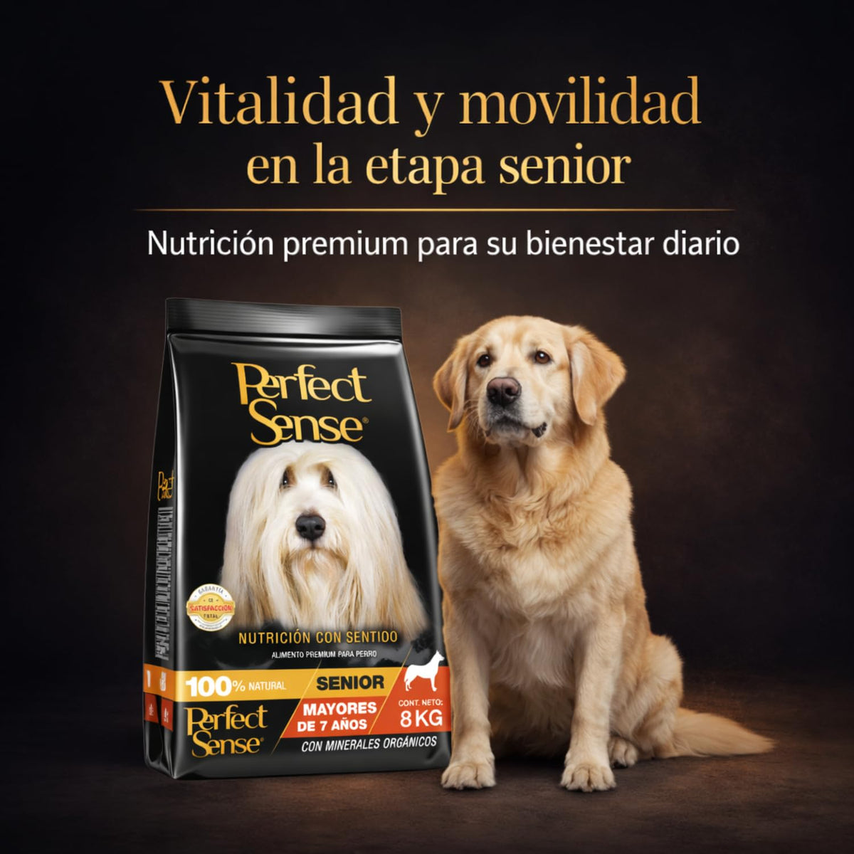 Perfect Sense Alimento Premium para Perros Senior Adultos 8 kg – Fórmula Natural para Salud Articular y Masa Muscular – Croquetas Pequeñas y Sabrosas